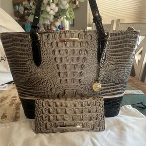 Brahmin medium Asher